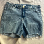 Ava & Viv Denim Blue Women's Shorts Photo 0