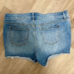 Torrid  Skinny Lace Trim Shorts Photo 4