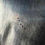 Sesto Meucci Black Leather Knee High Heel Boots Size 7.5 Photo 7