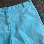 VINTAGE Lily’s of Beverly Hills high waisted shorts plus size 16 Photo 2