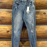 Jelly Jeans Mid Rise Distressed Skinny Jean Size 27 Photo 3