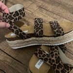 Steve Madden  Platforms Photo 0