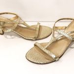 Stuart Weitzman  6 Midtanga Bali Snake Kitten Heel Sandal Champagne Gold Metallic Photo 2