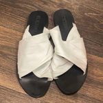 Sol Sana  Sandals Photo 0