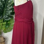 Max and Cleo  • Katrina mini Photo 3