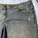 Apt. 9  Blue Denim Shorts Photo 6