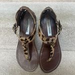 Steve Madden Sandals Photo 2