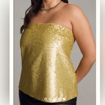 Anthropologie Sequin Tube Top NWT Photo 0