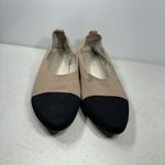 Chocolat Blu Woven Elegant Black and Cream Women's Flat size 40 Photo 2