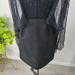 Alberta Ferreti Vintage Black Tissu Fabric Silk sheer feather cape effect sz 4 Photo 4