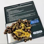 Egyptian revival bib statement necklace, NWOT Photo 6