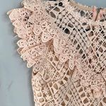 Champagne & strawberry lace pink dress Photo 2