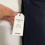 EXPRESS Navy Pinstripe Pants Photo 6