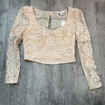 Topshop  Lace Long Sleeve Crop Top Photo 0