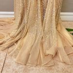 Teri Jon by Rickie Freeman heavily sequinned mermaid style gown, honey beige, 6 Tan Photo 15