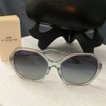 Coach : Translucent Blue (C3504) Sunglasses Photo 12