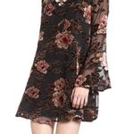 Cupcakes and Cashmere NWT Semi-Sheer Floral Lace-Up Long Sleeve Mini Dress XXS Photo 1