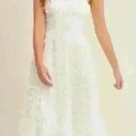 Thirty Thirty LA Ivory Butterfly Mesh Midi Garden Dress XS Photo 0