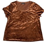 Bagatelle  Velvet Short Sleeve Top Sz L Copper Rich Brown Photo 0
