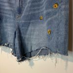 American Eagle  Mom Shorts Tiny Flower Embroidered Plus Size 20 Boho Photo 1