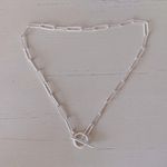 Madewell NWOT  silver chain and toggle necklace Photo 0