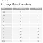 Liz Lange Maternity Pants Photo 3