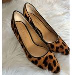 Talbots animal print heels sexy work dinner out small heels size 7 Photo 0
