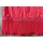 Vanity Fair Vintage‎ red half slip  Accordian pleat size 6 Photo 1