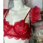 Red Pink Sheer Lace Embroidered Floral Bra Ruffle Adjustable Straps Size XL Photo 1