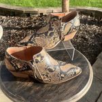 Chelsea and Violet  Ava Snake Print Booties leather side zip size 7.5 Photo 11