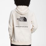 The North Face Womens Evolution Box NSE Regular Hoodie Cream XL NWT Photo 1