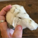 Out Of Stock Vntg Universal Studios Wizarding Harry Potter Hedwig Plush Keychain White Photo 3