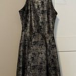 Soprano  Black and Gold Mini Dress Photo 0