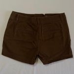 Ann Taylor Loft Shorts Photo 3
