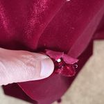 Vintage Y2k 90s Kathlin Argiro Atelier Dress Sz 4 Velvet Whimsigoth Vampy Goth Red Photo 7