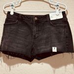 NEW Juniors Size 7 Arizona Jeans Shortie Black Shorts Frayed Denim 2.5" Inseam Photo 0