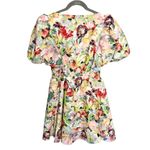 Anthropologie NWT  Sachin & Babi Puff-Sleeve Deep-V Taffeta Mini‎ Dress Medium Photo 7