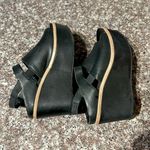 Antelope  Wedges Photo 3