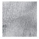 Athleta  Silver Black Pinstripe Echo Shorts Size 10‎ NWT$79 Photo 2