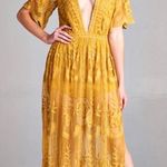 Honey Punch Elegant Mustard Lace Dress Photo 0