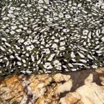 Liverpool Black and White Fitted Camisole Top Photo 4