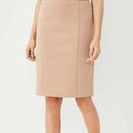H&M NWT  Size 2 Beige Blush Pencil Skirt Pressed Pleats Waist Fully Lined Career Photo 0