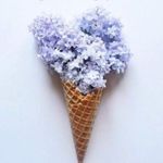 ZARA  Basic Skirt S Pencil Black Straight Career Work Office Cocktail Photo 4