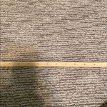 Thin Cream Belt Photo 1