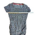 Sundry  Anthropologie Gray Leopard Print Ruched Midi Dress Size 1 (US Small) Photo 4