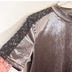 ZARA  TRAFALUC GRAY VELOUR BLACK LACE MOCK NECK PULLOVER SHORT SLEEVE TOP S Photo 5