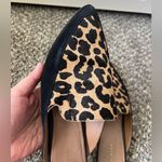 Halogen  Western Corbin Leopard‎ Mules Shoes Size 8.5 Photo 5