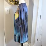 Dolls Kill  x DC Batman Symbol Gotham City Comic  Long Sleeve Shirt ~Small💛 Photo 7