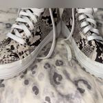 Superga  Alpina Snake Embossed High Top Platform Sneaker Photo 2