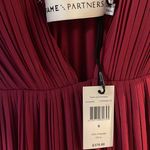 Fame and Partners NEW Plunge Gown Photo 3